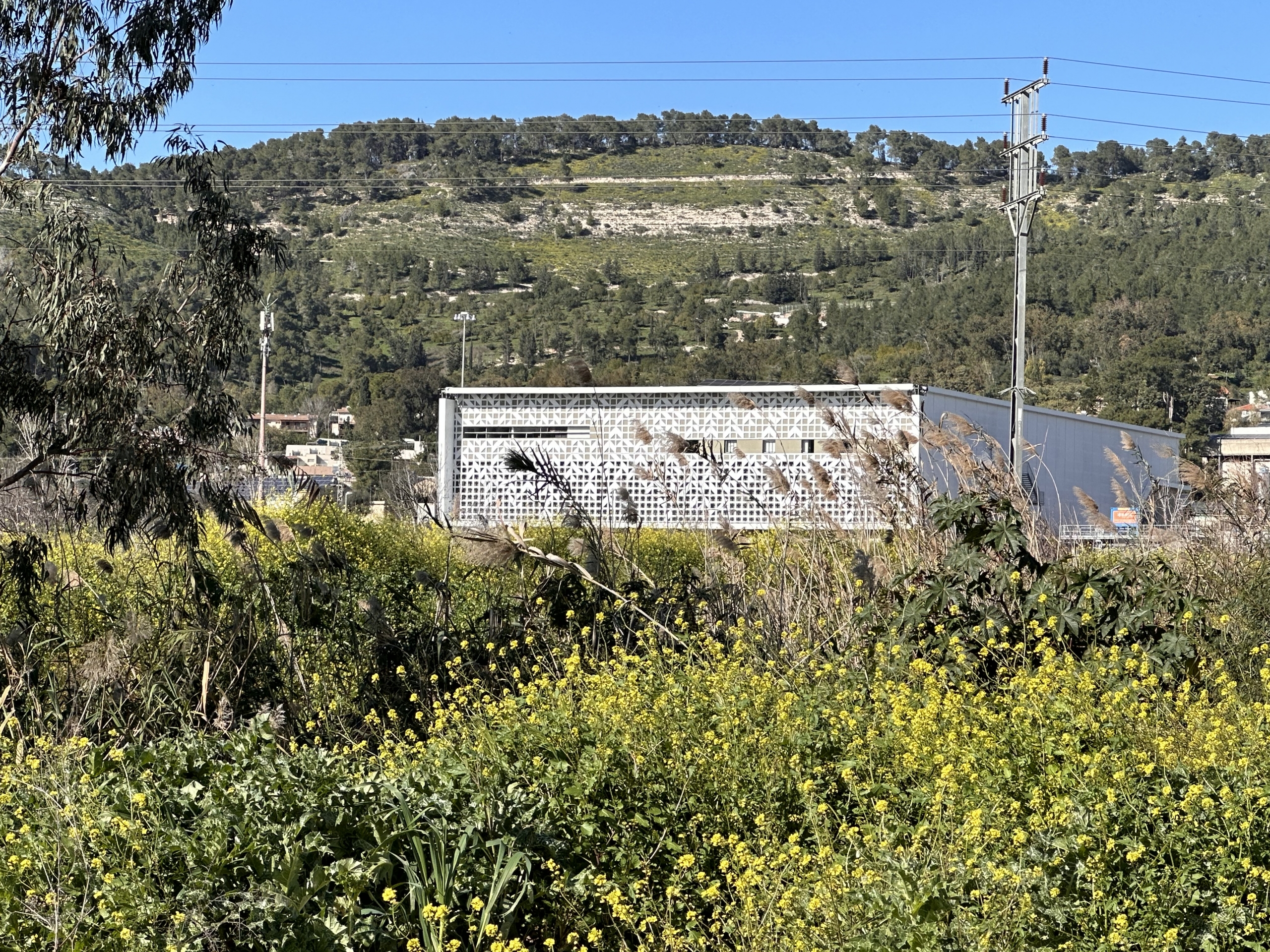 teperberg winery facade